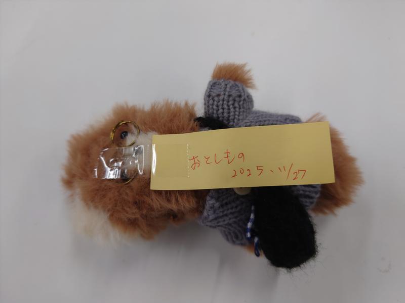 ぬいぐぬみ？小