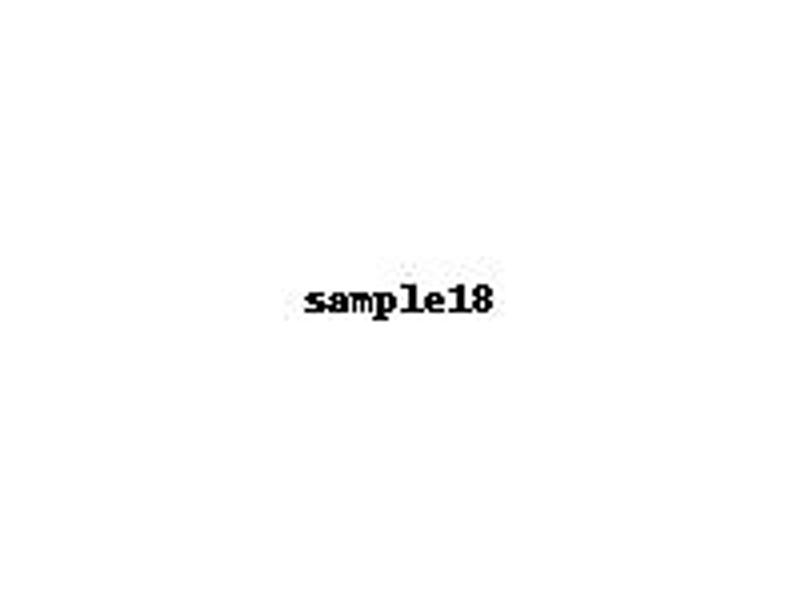 sample18