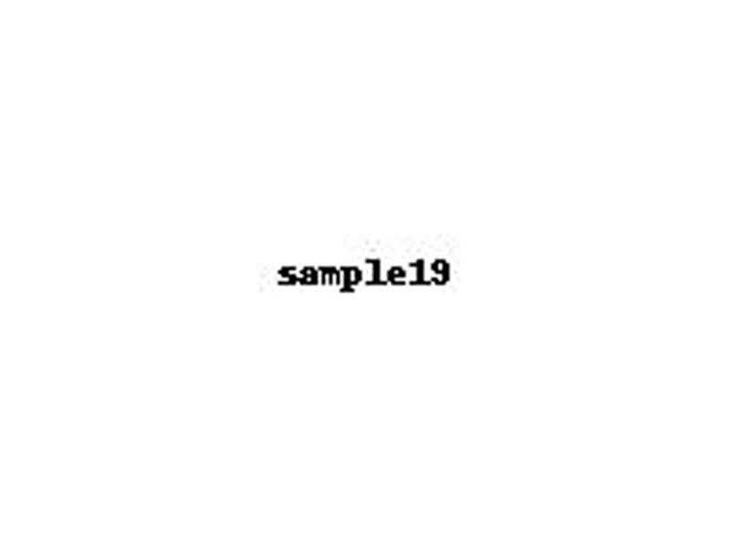 sample19
