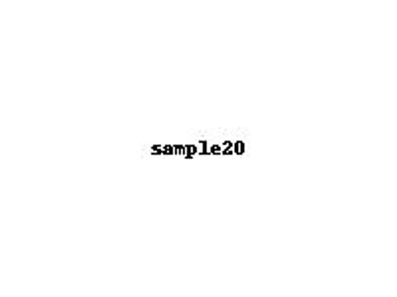 sample20